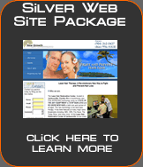 silver website package