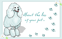 Free Printable Pet Poodle Sympathy  Greeting Card