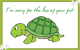 Free Printable Pet Turtle Sympathy  Greeting Card