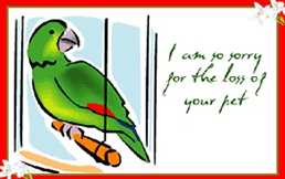 Free Printable Pet Parakeet Sympathy  Greeting Cards