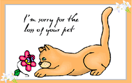 2 Printable Pet Sympathy Loss Condolence Greeting Card Horse Cat Kitten