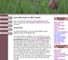 floral  web template